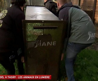 Replay Un jour, un doc - Noël à Thoiry : les animaux en lumière