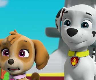 Replay Paw Patrol, la Pat'Patrouille - Mission Dino : A la recherche des oeufs perdus