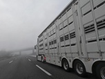 Replay Les routiers : profession chauffeur poids lourd - S2E2 - Sophia et l'ours du Jura