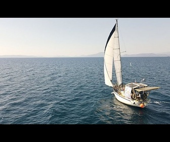 Replay En Grèce, la mission Seal Greece parcourt les îles pour sensibiliser à la protection des...
