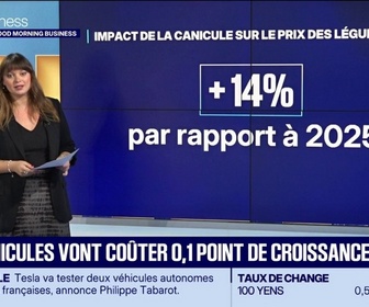 Replay Good Morning Business - La canicule va coûter 0,1 point à la croissance française cette année