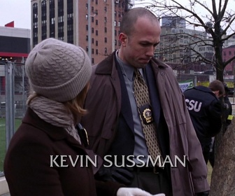 Replay New York Section Criminelle - S02 E20 - Mauvaise pioche