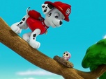 Replay Paw Patrol, la Pat'Patrouille - Le collier porte-bonheur