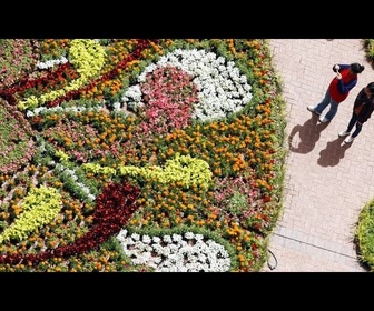 Replay Hongrie : le carnaval des fleurs de Debrecen célèbre en couleurs la fête nationale hongroise
