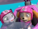 Replay Paw Patrol, la Pat'Patrouille - Sauvetage Extrême : Les Tigres Blancs