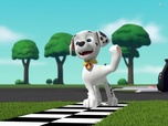 Replay Paw Patrol, la Pat'Patrouille - S10 E39 - Pique-nique en famille