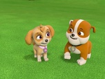 Replay Paw Patrol, la Pat'Patrouille - La journée de l'Amitié - 22'