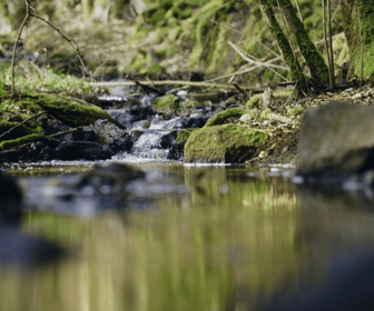 Replay Préserver la ressource en eau - Eaux minérales naturelles : une ressource unique