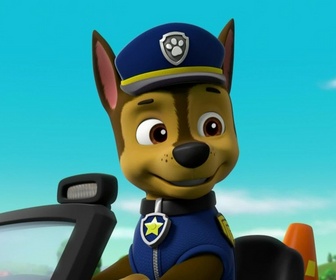 Replay Paw Patrol, la Pat'Patrouille - A la recherche du bébé kangourou