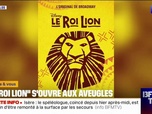 Replay Culture et vous - Le Roi Lion adapté pour le public aveugle et malvoyant