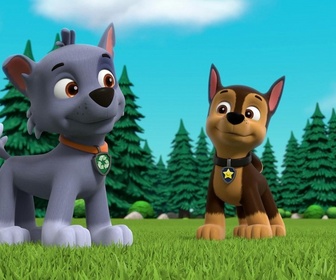 Replay Paw Patrol, la Pat'Patrouille - S10 E21 - La piñata d'anniversaire