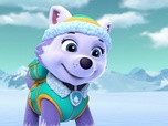 Replay Paw Patrol, la Pat'Patrouille - Le bébé pingouin