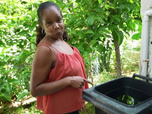 Replay C pas si loin - Guadeloupe : le quotidien sans eau