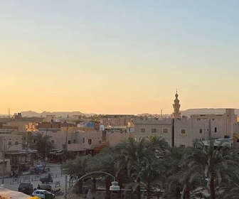 Replay L'oasis de Siwa - Un écrin de nature en Égypte