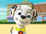 Replay Paw Patrol, la Pat'Patrouille - S03 E35 - Le jouet de l'espace