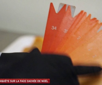 Replay Un jour, un doc - Enquête sur la face cachée de Noël