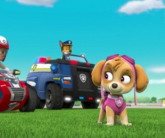 Replay Paw Patrol, la Pat'Patrouille - La Kermesse de la Grande Vallée