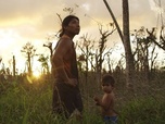 Replay Nicaragua, des patrouilles pour sauver la forêt