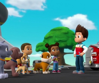 Replay Paw Patrol, la Pat'Patrouille - La Pat'Patrouille et les jumeaux