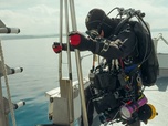 Replay Restaurer les fonds marins côtiers en Écosse - ARTE Regards