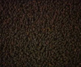 Replay Découverte du Monde - Kéricho, l'empire du thé