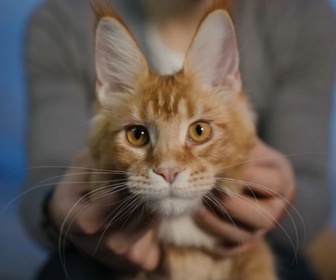 Replay L'hebdo des animaux - S1E20 - Episode 20