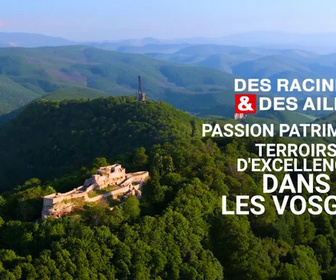 Replay Des Racines et Des Ailes