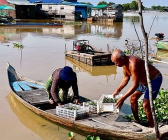 Replay Cambodge, les pêcheurs nomades du Tonlé Sap - 360° Reportage
