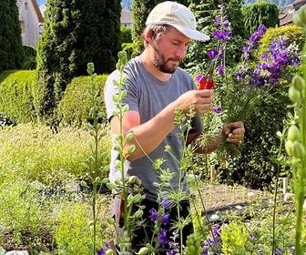 Replay Des fêtes et des saisons - L'ivresse des fleurs