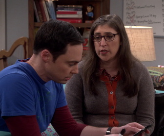 Replay The Big Bang Theory - S11E3 - L'intégration de la relaxation