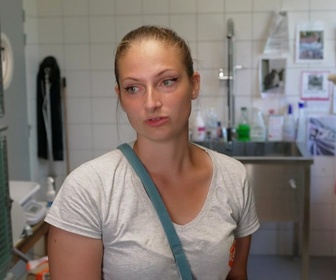 Replay Animaux à adopter - Jack Sparrow, le chat pirate à 3 pattes et Winkie la petite créole arrivée de Guadeloupe