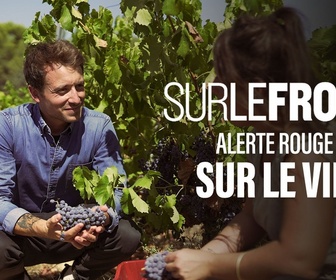 Replay Sur le front - Alerte rouge sur le vin