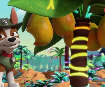 Replay Paw Patrol, la Pat'Patrouille - Mission Jungle : Les fourmis géantes