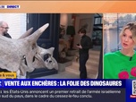 Replay Culture et vous - Vente aux enchères: la folie des dinosaures