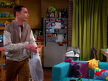 Replay The Big Bang Theory - S7E2 - Une affaire d'œstrogènes