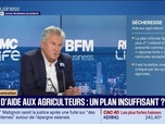 Replay Good Morning Business - Thierry Blandinières (InVivo) : Plan d'aide aux agriculteurs, un plan insuffisant ? - 08/09