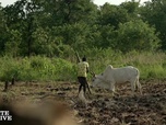 Replay Enquête exclusive - Le Nil : tensions sur un fleuve mythique