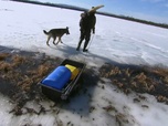 Replay Seuls face à l'Alaska - S6E13 - Toujours plus haut