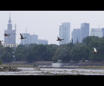 Replay Pologne : alerte hydrologique dans la capitale, niveau d'eau critique dans la Vistule