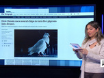 Replay Dans la presse - Russie : des pigeons-drones développés à des fins d'espionnage ?