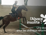 Replay L'Alsace insolite - Une école de reconversion pour les chevaux de course