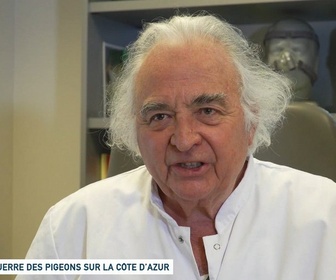 Replay Un jour, un doc - Guerre des pigeons sur la Côte d'Azur / La police des crottes