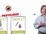 Replay C'est bon à savoir - Utilisation des pesticides, quelles sont les règles ?