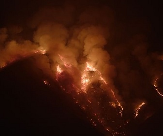 Replay Une forêt renaît de ses cendres