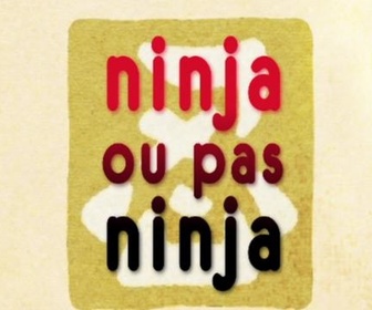 Replay Mini Ninjas - Ninja ou pas