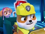 Replay Paw Patrol, la Pat'Patrouille - L'équipe au grand complet