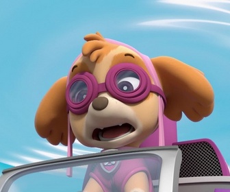 Replay Paw Patrol, la Pat'Patrouille - Galinetta pilote un avion