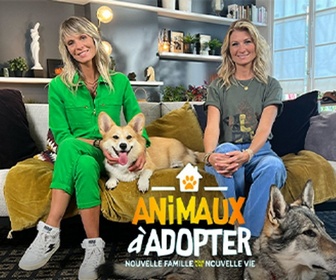 Animaux à adopter replay