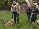Replay Chiens hors de contrôle - un dresseur à la rescousse - S1 E2 - Promenade dangereuse