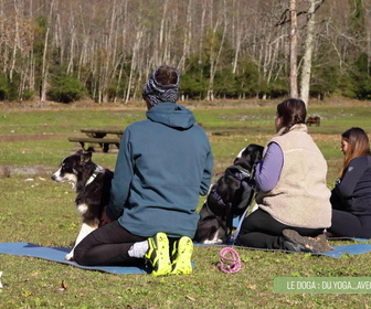 Replay L'hebdo des animaux - S1E5 - Episode 5
